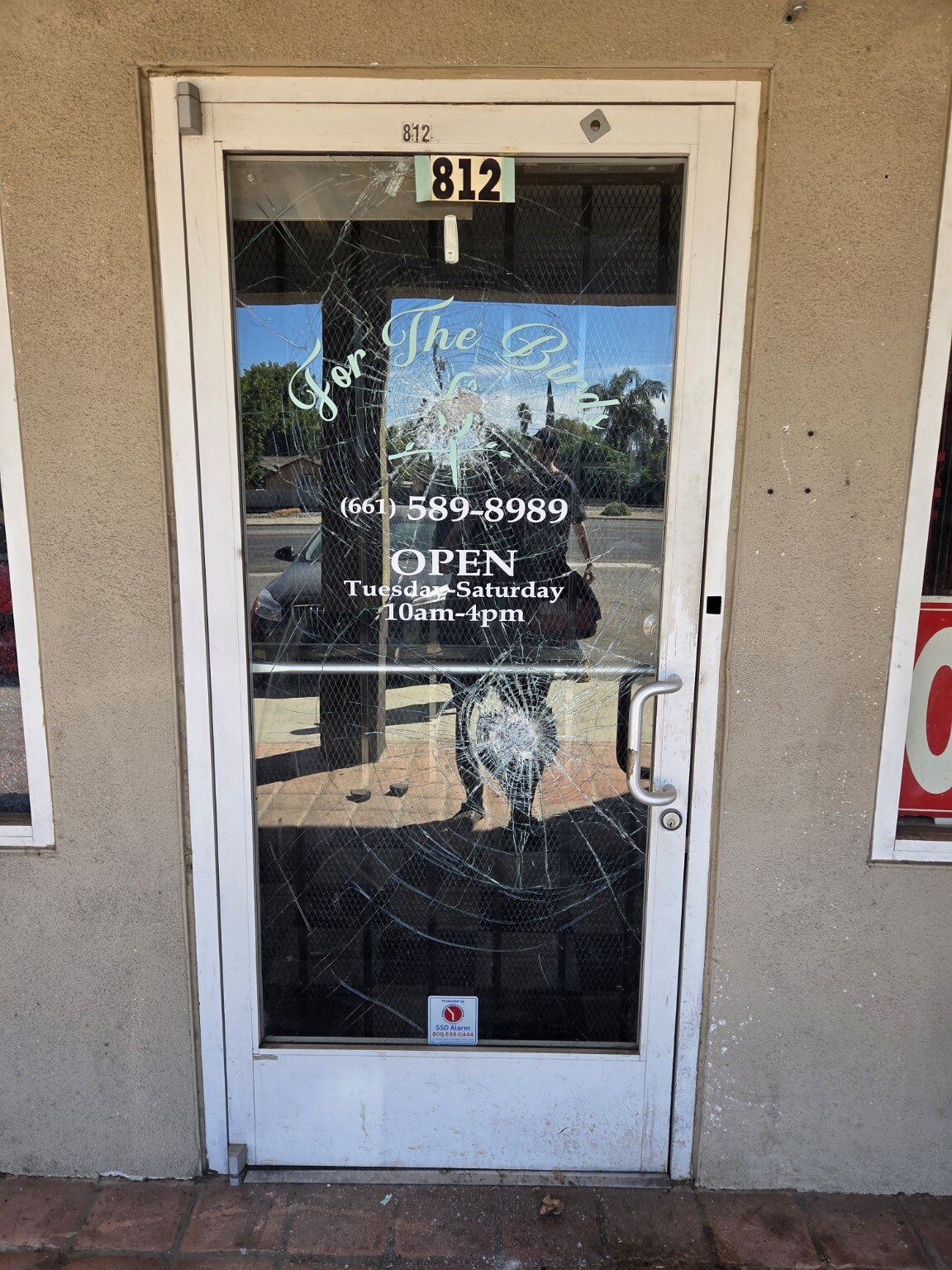 The extensively cracked glass entrance door at For The Birds and More in Oildale following a reported break-in