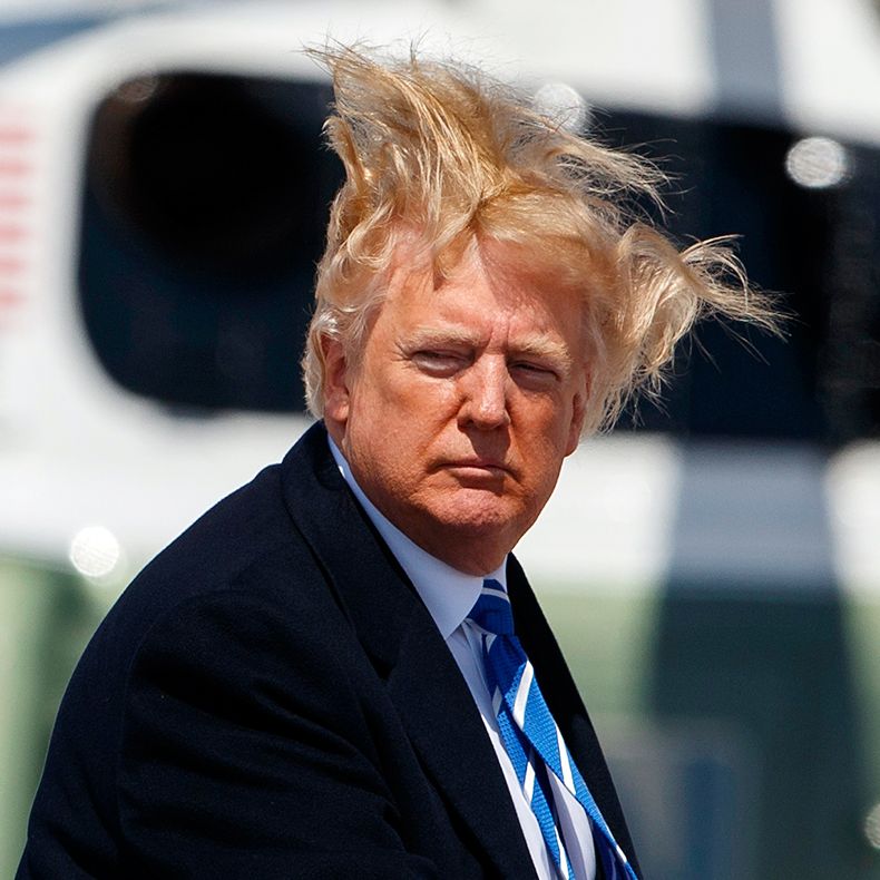 Authentic news photograph of Donald Trump's hair blown upward by strong winds while he boards Air Force One in April 2018