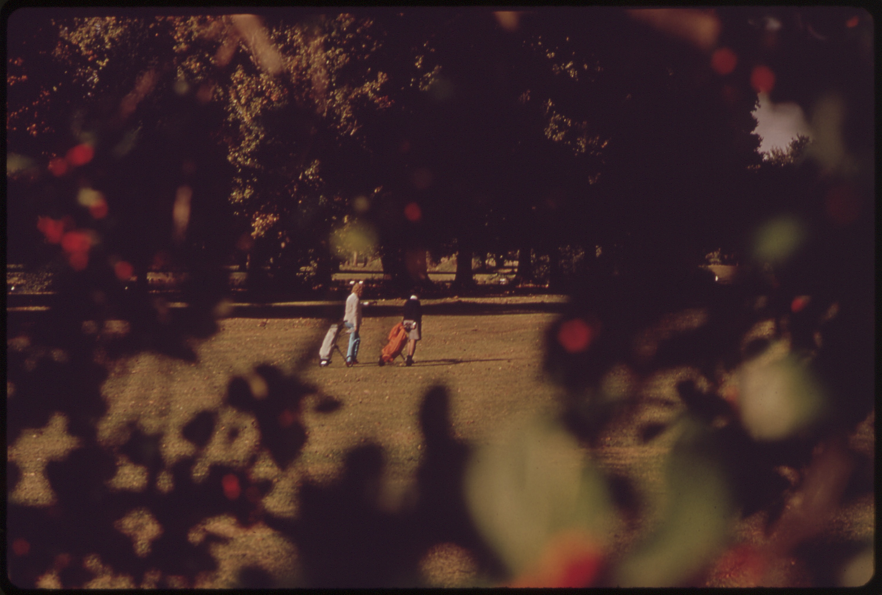 Golfers walk across a public golf course in New Orleans City Park in an archival photograph.
