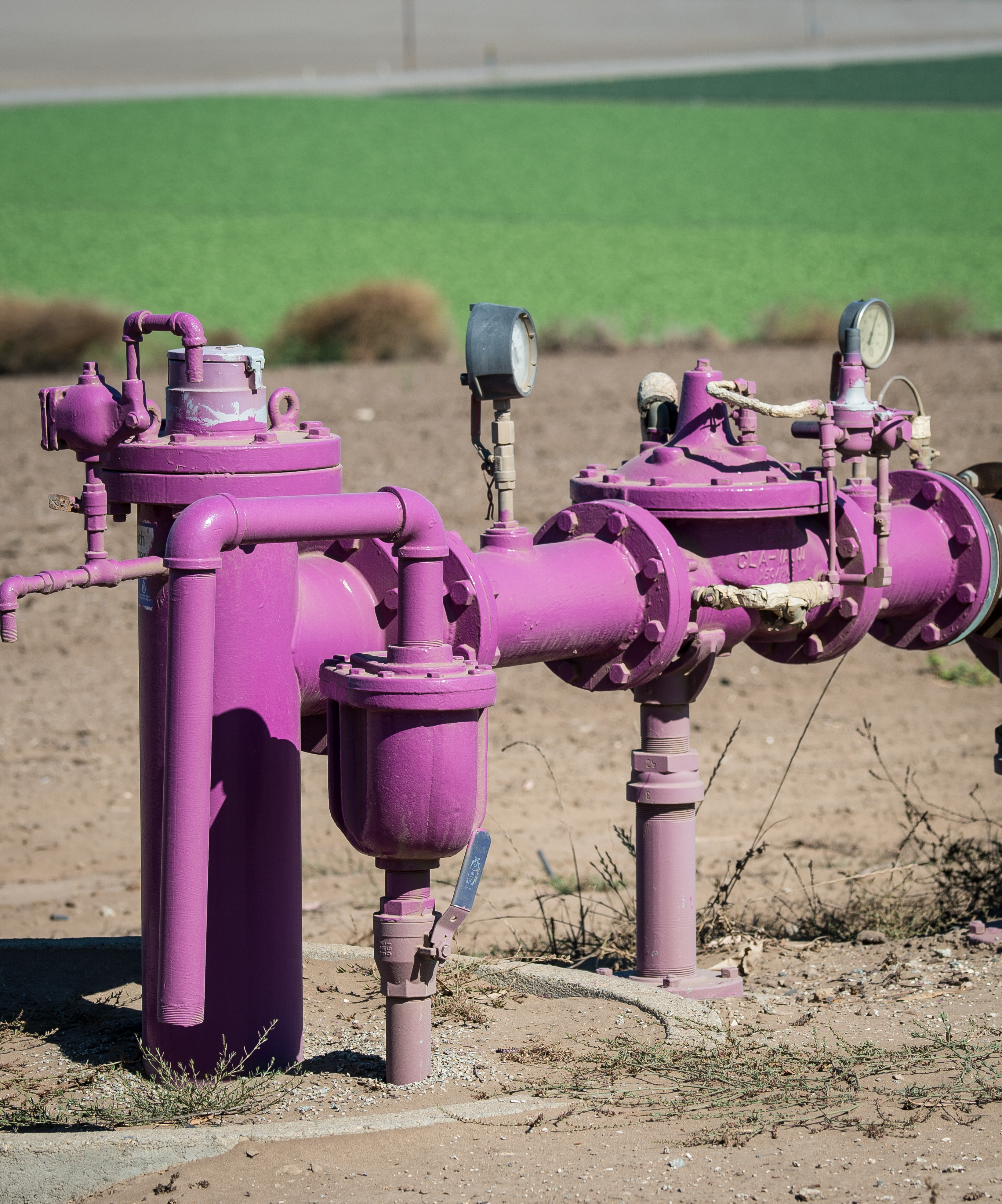Purple pipes carrying recycled water for agricultural use in Watsonville, California, August 27, 2015. Effluent-use context; not Arvin's leased land or wastewater equipment.