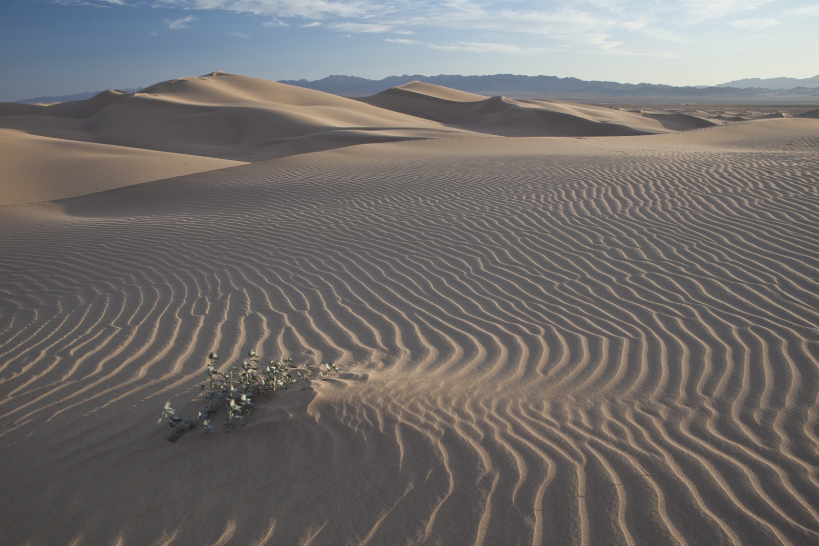 Cadiz Wilderness and Valley in the Mojave Desert, March 12, 2012. Regional context only: not the proposed pipeline route, state-leased segment or evidence of groundwater impacts. Bob Wick/Bureau of Land Management, public domain; no endorsement implied.