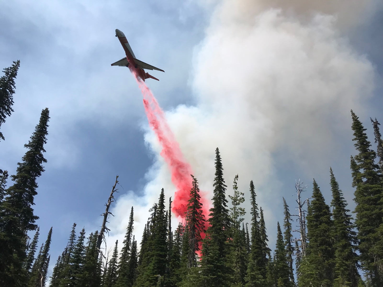 An airtanker releases retardant above conifers in an archival U.S. Forest Service Northern Region photograph, July 30, 2018. Aerial-firefighting context only; not identified here as an aircraft, flight or bidder evaluated in the procurement dispute. U.S. Forest Service, Northern Region, public domain. Full composition resized, no crop; no agency endorsement implied.