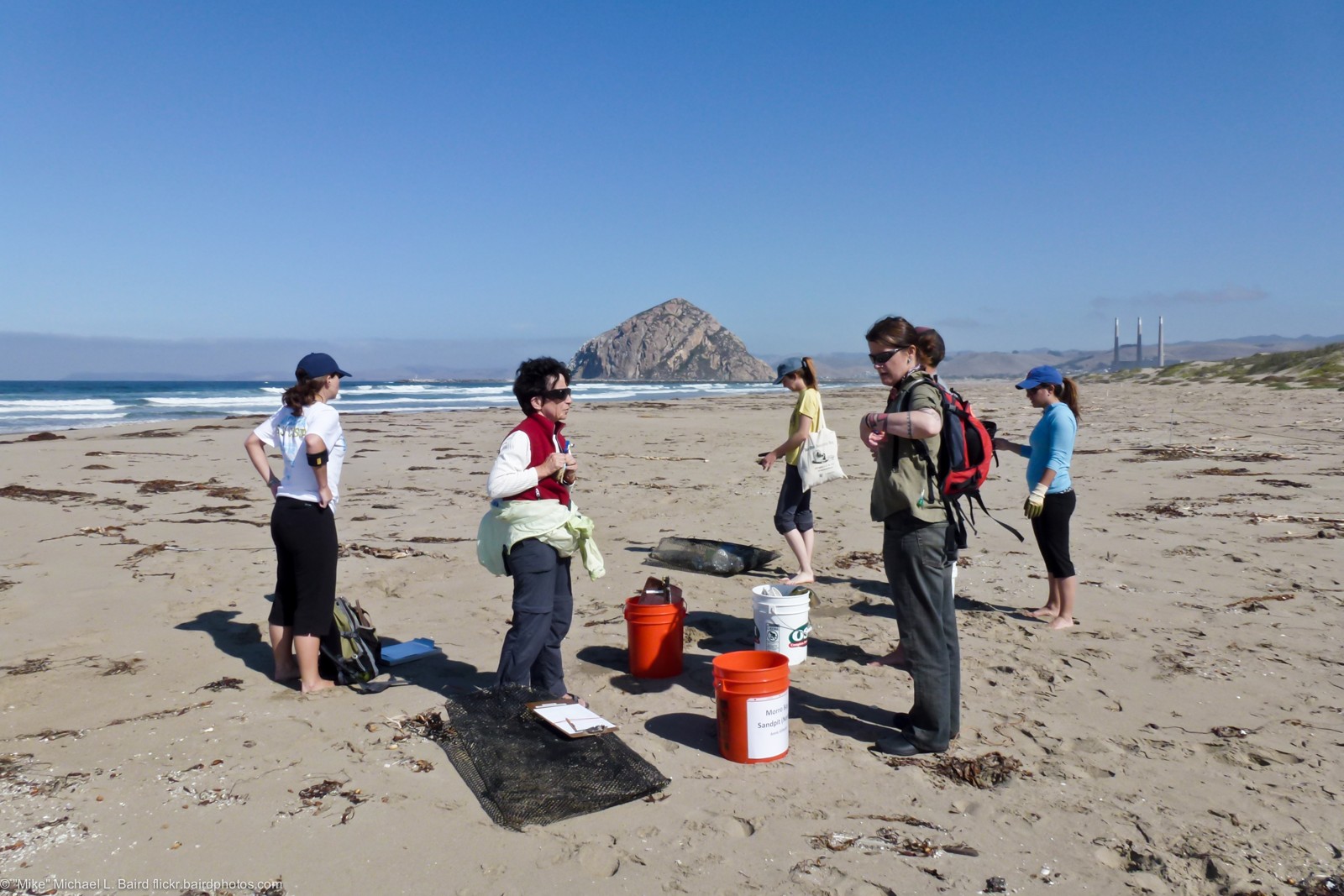 Participants with collection buckets during Coastal Cleanup Day at the Morro Bay sandspit, California, September 17, 2011. Cleanup-volunteering context only; not Keep Kern Beautiful, Kern County committee members or an event analyzed in this report. Mike Baird / Wikimedia Commons, CC BY 2.0. Full composition resized, no crop; photographer watermark retained. No participant misconduct is alleged.